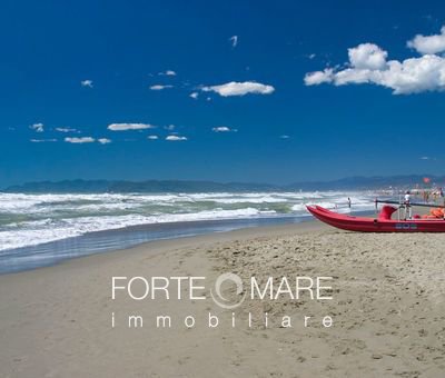 Immagine 27