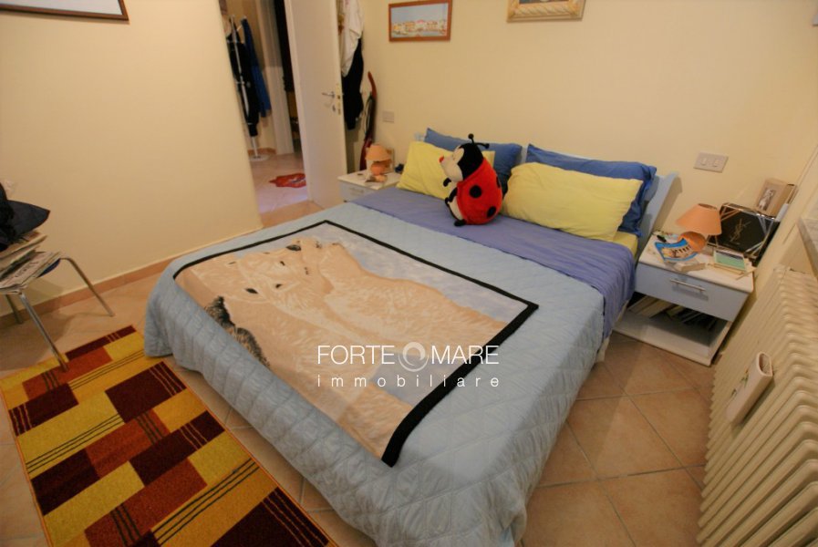 Immagine 5