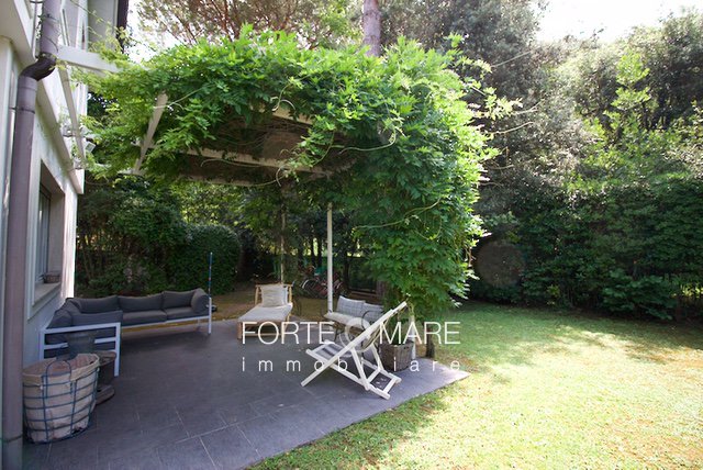 Immagine 8