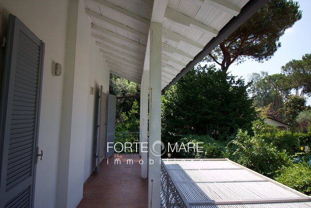 Immagine 23