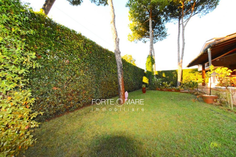 Immagine 13