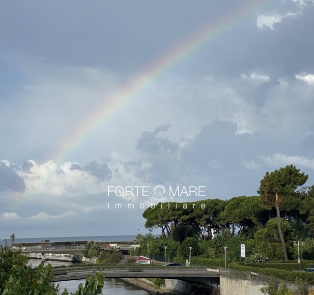 Immagine 38