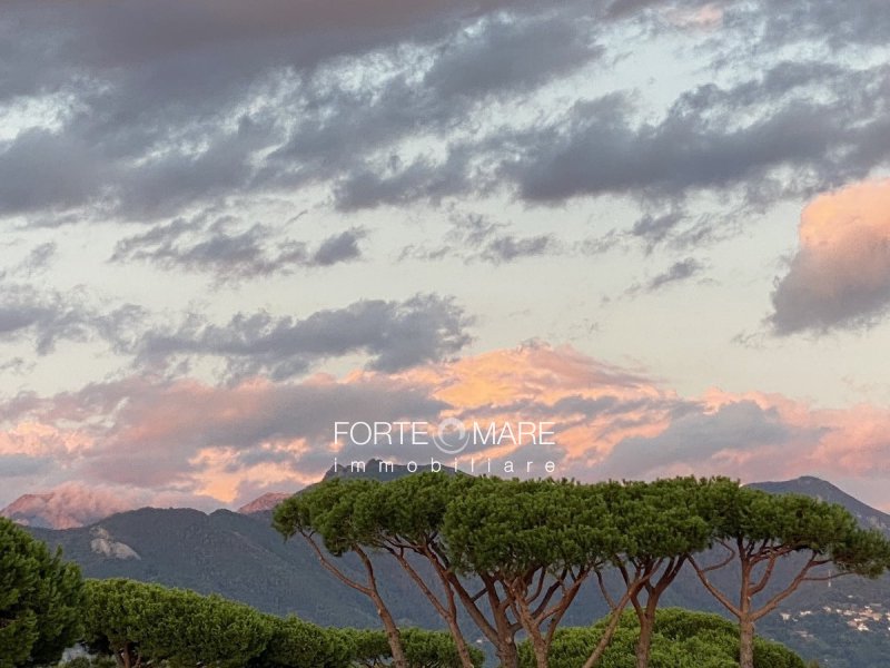 Immagine 37