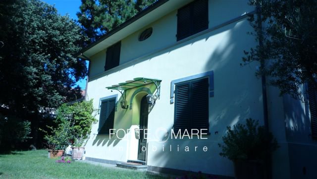 Immagine 4