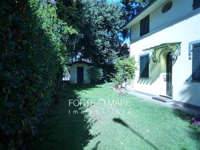 Immagine 5