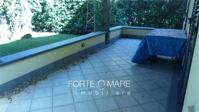 Immagine 6
