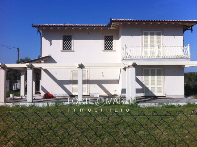 Immagine 7
