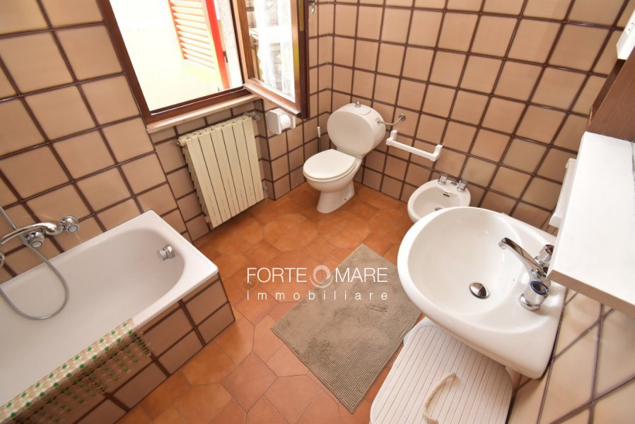 Immagine 7
