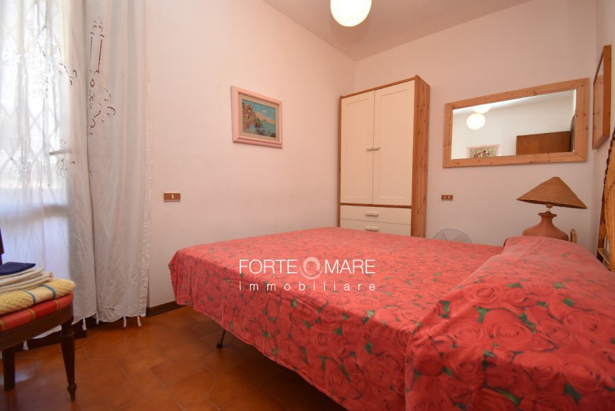 Immagine 11